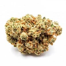 Jack Herer Strain