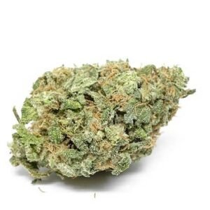 buy White Widow Strain